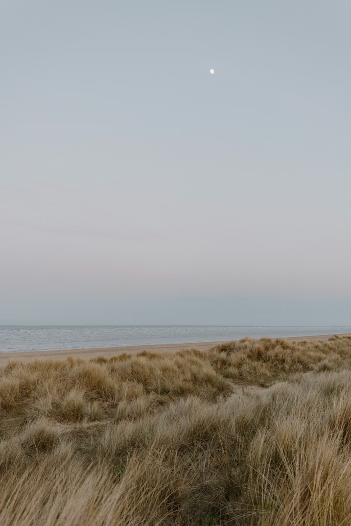 Ruhige Strandszene mit Dünengräsern unter blassem Himmel